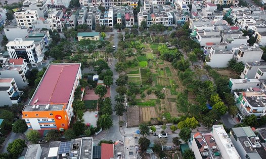 Hàng nghìn m2 quy hoạch vườn hoa, cây xanh tại khu tái định cư tổ 22 phường Trần Lãm (TP.Thái Bình) bỏ hoang phí chục năm trời. Ảnh: T.D