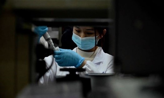 Liệu pháp hỗn hợp kháng thể COVID-19 đã được phê duyệt ở Trung Quốc cho thấy hiệu quả với các biến thể SARS-CoV-2. Ảnh: AFP