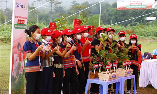 Hoạt động thuộc chiến dịch “Lấm bẩn vì màn chắn xanh Việt Nam” 2021