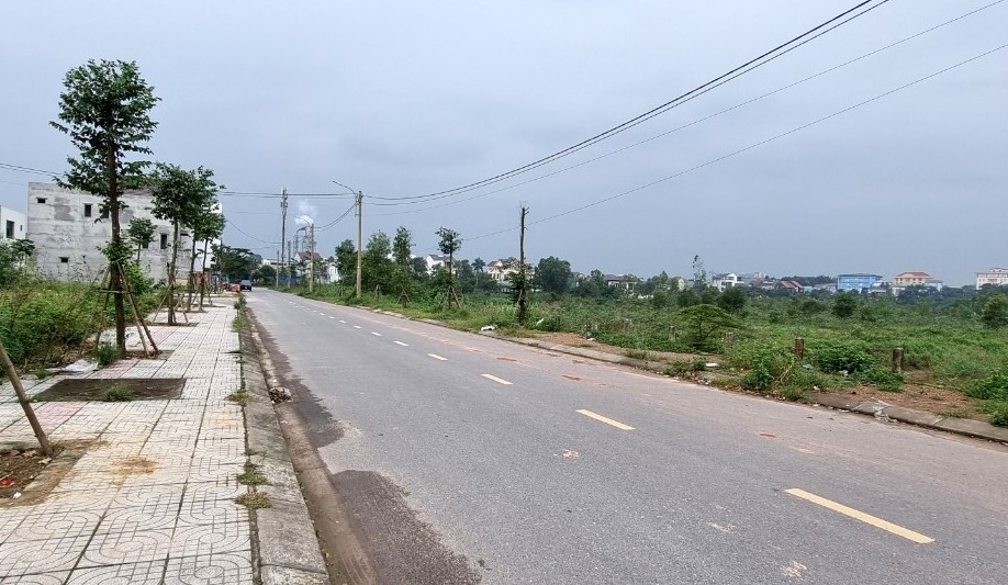 Các lô đất trên tuyến đường có mặt tiền hướng ra khu đất Vincom Retail đấu giá trúng nay vắng người đến giao dịch và giá hạ xuống. Ảnh: Hưng Thơ.