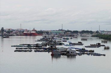 Một số lồng bè nuôi thủy hải sản trên sông Dinh, TP.Vũng Tàu. Ảnh: T.A