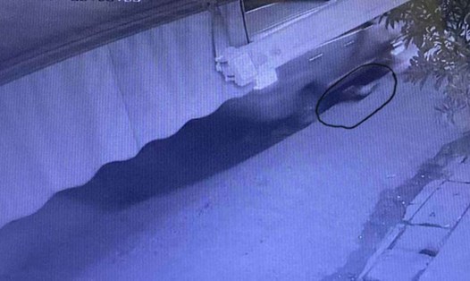Hình ảnh nữ lao công bị cuốn vào gầm xe ôtô do camera an ninh nhà người dân ghi lại. Ảnh: Văn Huế