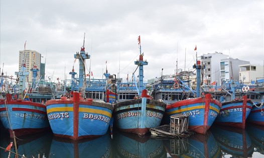 Bình Định nghiêm cấm không cho tàu xuất bến kể từ 17h ngày 17.12