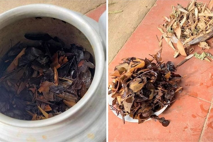 Cứu bé sơ sinh suy đa tạng do uống thuốc nam điều trị viêm da Cứu bé sơ sinh suy đa tạng do uống thuốc nam điều trị viêm da