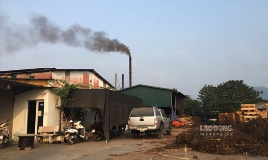 Đang bị Thanh tra sở TNMT tỉnh Tuyên Quang đình chỉ nhưng hệ thống lò đốt của Công ty gỗ Việt Ý vẫn công khai hoạt động, xả thải ra môi trường.