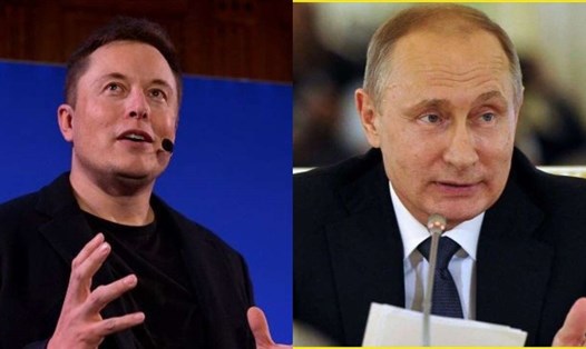 Tổng thống Putin có thể gặp Elon Musk. Ảnh: AFP/DNA
