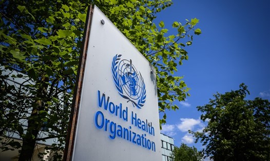 Logo của Tổ chức Y tế Thế giới (WHO). Ảnh: AFP