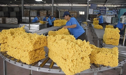 Sản lượng thế giới giảm, giá caosu tăng cao sẽ cho doanh nghiệp Việt Nam hưởng lợi "kép" khi xuất khẩu mặt hàng này. Ảnh: VRA