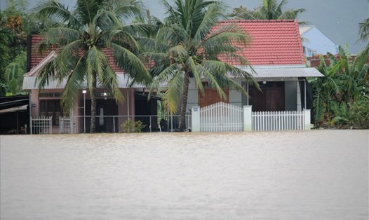 Mưa lũ gây ngập lụt kéo dài tại các khu dân cư ở Bình Định. Ảnh: H.L