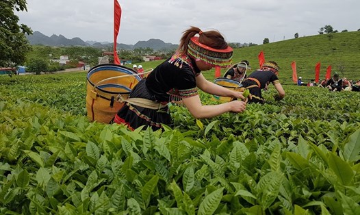 Lĩnh vực nông nghiệp của Việt Nam đang thu hút các nhà đầu tư Australia. Ảnh: Vũ Long