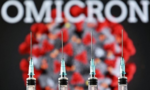 Omicron né tránh được vaccine, nhưng liều tăng cường sẽ cải thiện được điều đó. Ảnh: AFP