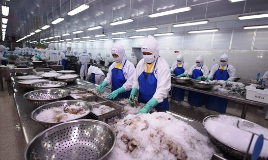 Ngành thủy sản đặt mục tiêu xuất khẩu trên 8,9% trong năm 2022. Ảnh: Vân Hà
