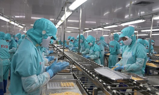 Nhiều doanh nghiệp kiến nghị để khôi phục sản xuất trong dịch bệnh Khánh Hòa cần nhiều chính sách hỗ trợ cụ thể hơn. Ảnh: Phương Linh