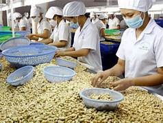 Hiện tượng "nhập siêu" một số mặt hàng như hạt điều, hồ tiêu, gạo Ấn Độ là để phục vụ chế biến. Ảnh: TL