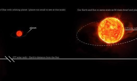 Hành tinh cỡ sao Hỏa quay quanh sao lùn đỏ KOI-4777 là KOI-4777.01, một trong những hành tinh có chu kỳ quỹ đạo ngắn nhất từng được phát hiện. Ảnh: Penn State