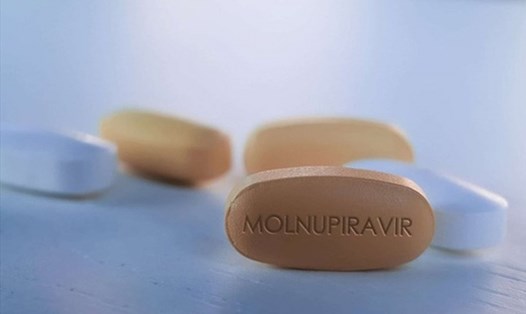 Thuốc chứa hoạt chất Molnupiravir.