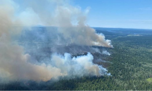 Một trận cháy rừng ở Canada, vào tháng 7.2021. Ảnh: AFP