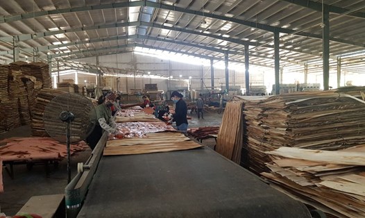 Xuất khẩu các sản phẩm gỗ, gỗ tròn, gỗ xẻ giảm mạnh trong khi ván bóc và dăm gỗ tăng mạnh. Ảnh: Cao Cẩm