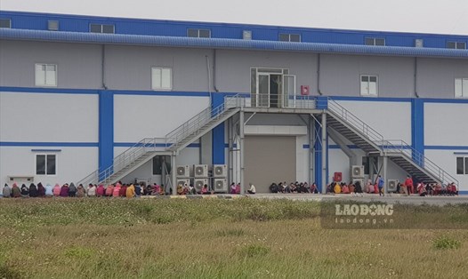 Hàng trăm CNLĐ tại Công ty TNHH Gtwill Việt Nam (Cụm công nghiệp Gia Vân, huyện Gia Viễn, Ninh Bình) đồng loạt nghỉ việc để yêu cầu phía công ty phải thưởng Tết. Ảnh: NT