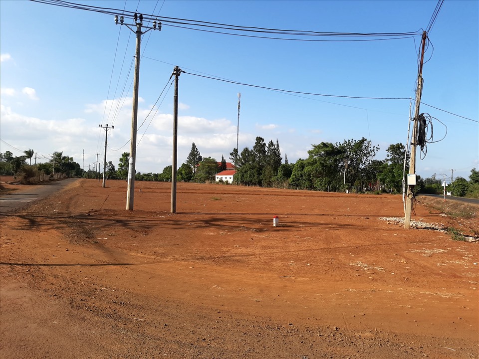 Diện tích đất chuyển đổi trái quy định để phân lô bán nền. Ảnh T.T