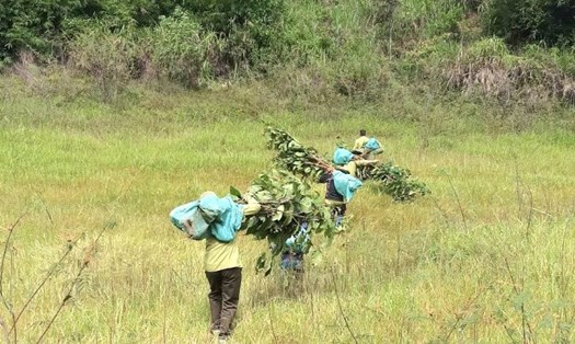Hành trình vất vả của lực lượng quản lý bảo vệ rừng ở Tây nguyên. Ảnh: Phan Tuấn