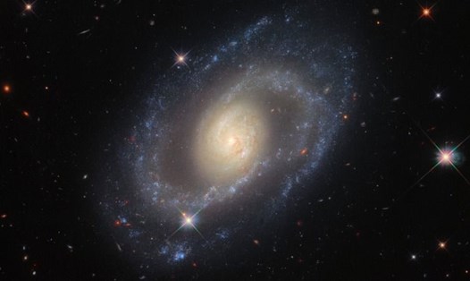 Hình ảnh thiên hà xoắn ốc Mrk (Markarian) 1337 do kính viễn vọng Hubble chụp lại. Ảnh: NASA