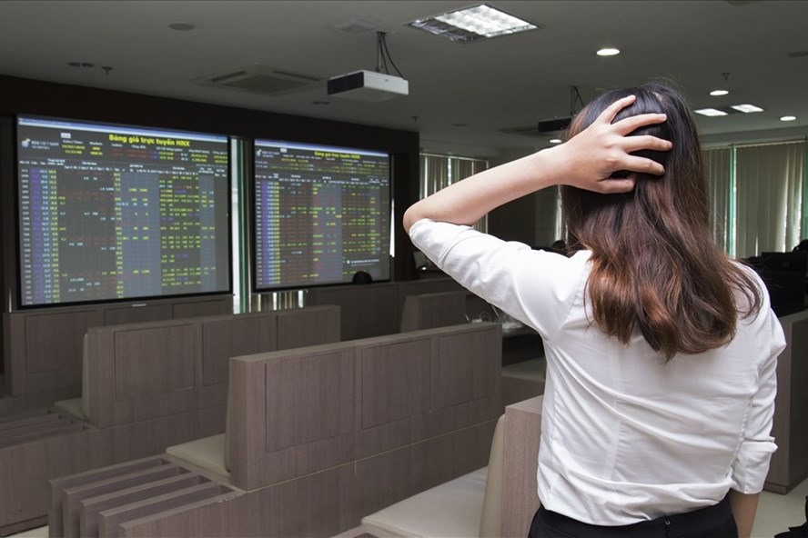 Ảnh minh họa: Bảo Chương