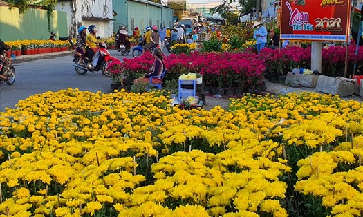 Chợ hoa chiều 29 têt tại Bạc Liêu, người xem nhiều hơn người mua. Ảnh: Nhật Hồ