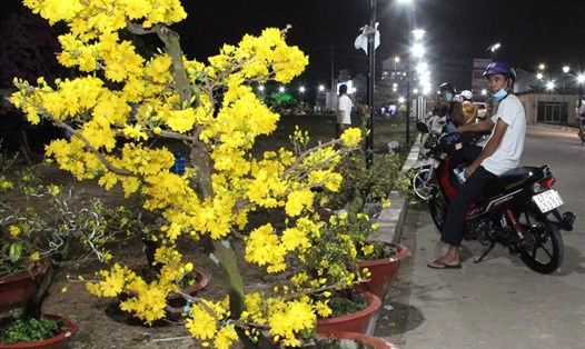 Chợ hoa Tết gần như hết sạch hoa, những người dân ra muộn không có hoa để mua. Ảnh: Đình Trọng