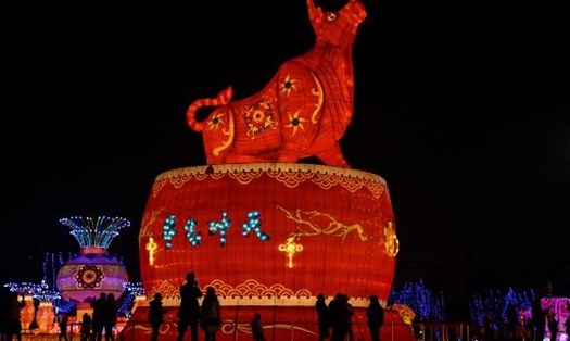 Biểu tượng Trâu Vàng chào năm mới tại một công viên ở thành phố Vũ Hán, tỉnh Hồ Bắc, Trung Quốc. Ảnh: AFP