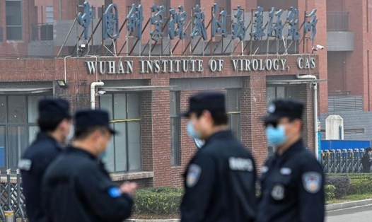 Viện Virus học Vũ Hán là một trong những địa điểm phái đoàn WHO đến điều tra. Ảnh: AFP