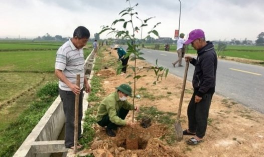 Các xã, thị trấn trên địa bàn huyện Đô Lương (Nghệ An) ra quân trồng cây trên các trục đường liên xã, liên xóm. Ảnh: Minh Thái