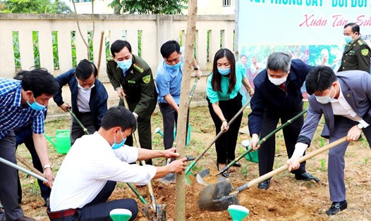 Chủ tịch UBND tỉnh Hà Tĩnh Trần Tiến Hưng tham gia trồng cây cùng các lãnh đạo sở, ngành, địa phương ở Vũ Quang. Ảnh: Vũ Quang.
