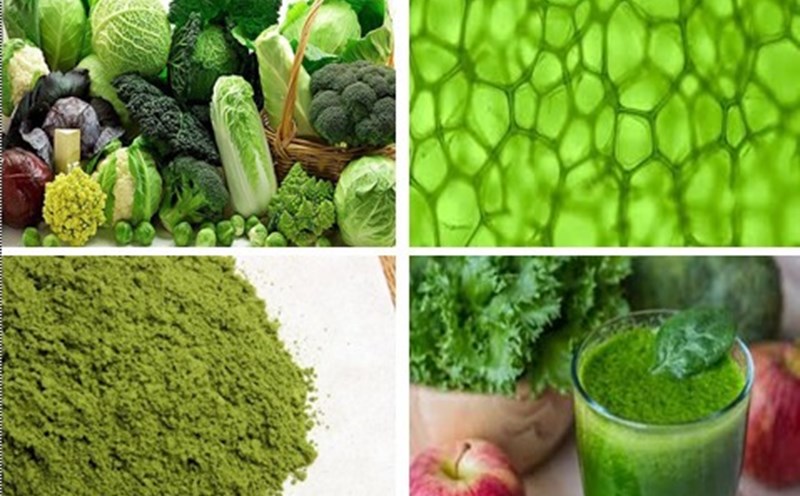 Trào lưu uống nước diệp lục: Có thực sự tốt như lời đồn?