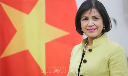 Đại sứ Lê Thị Tuyết Mai, Trưởng Phái đoàn đại diện thường trực Việt Nam tại Geneva. Ảnh: TTXVN.