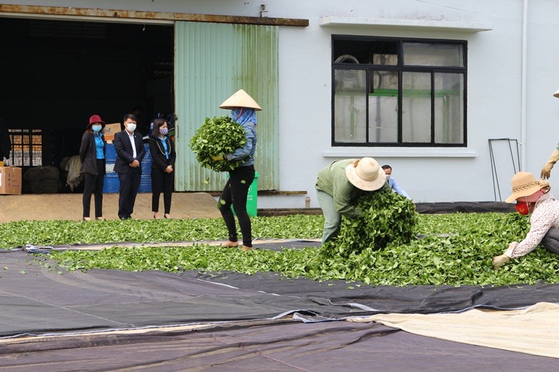 Các cấp công đoàn Sơn La luôn quan tâm đến đời sống sản xuất, sinh hoạt của đoàn viên, CNVCLĐ trong tỉnh.