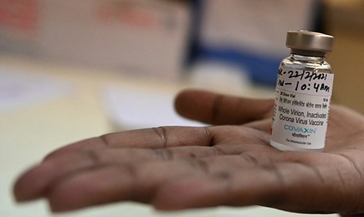 Một lọ vaccine COVID-19 tại trung tâm y tế của Ấn Độ. Ảnh: AFP.
