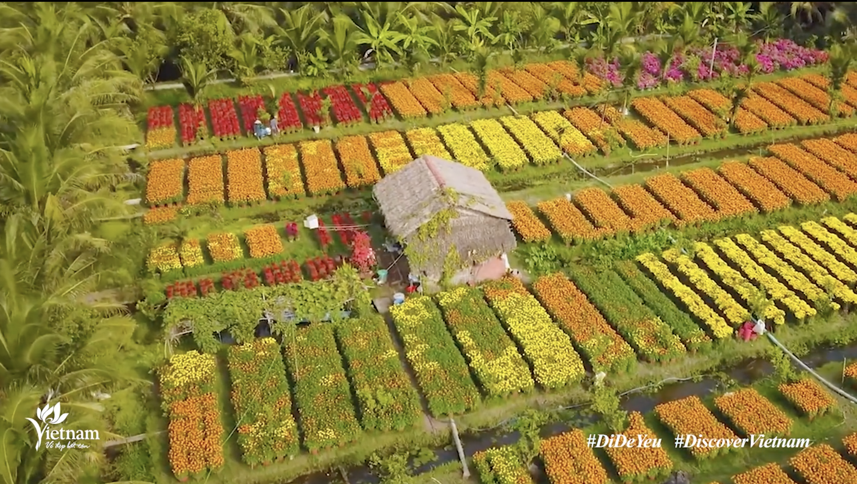 Việt Nam - Điểm đến văn hoá và ẩm thực. Ảnh: TT