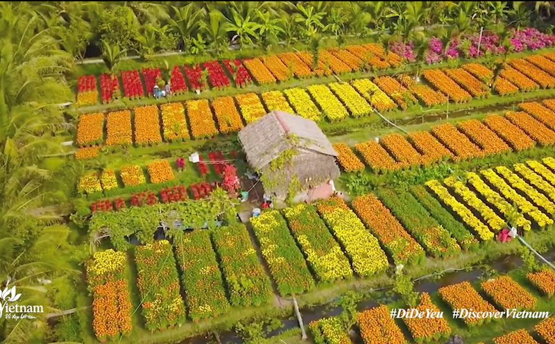 Việt Nam - Điểm đến văn hoá và ẩm thực. Ảnh: TT