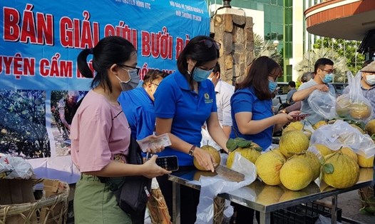 Đoàn viên công đoàn, CNVCLĐ TPHCM mua bưởi giúp bà con nhân dân huyện Cẩm Mỹ, tỉnh Đồng Nai. Ảnh Đức Long