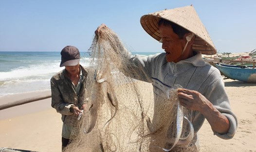 Ngư dân Quảng Nam trúng đậm mùa cá hố đầu năm. Ảnh: Thanh Chung