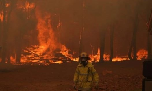 Lực lượng cứu hỏa chiến đấu với đám cháy rừng ở Brigadoon, Perth, Australia, ngày 2.2. Ảnh: Department Of Fire and Emergency Services