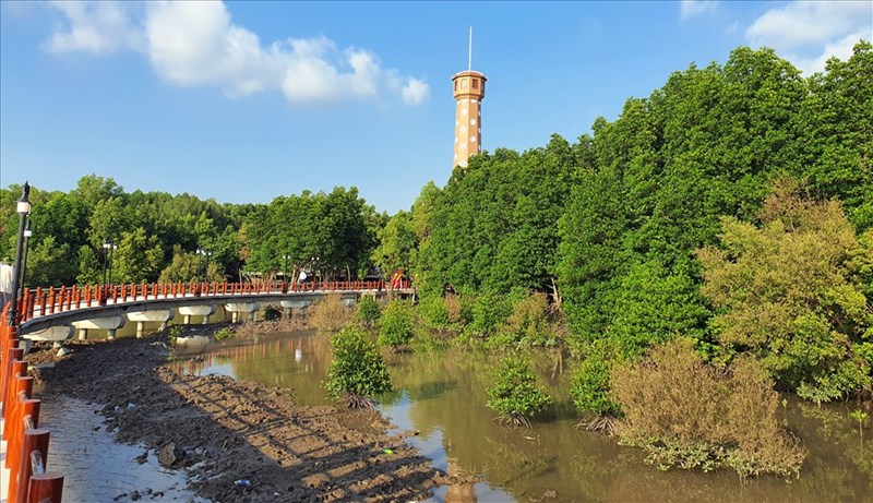 Đất Mũi - nơi “đất biết nở, rừng biết đi và biển sinh sôi”