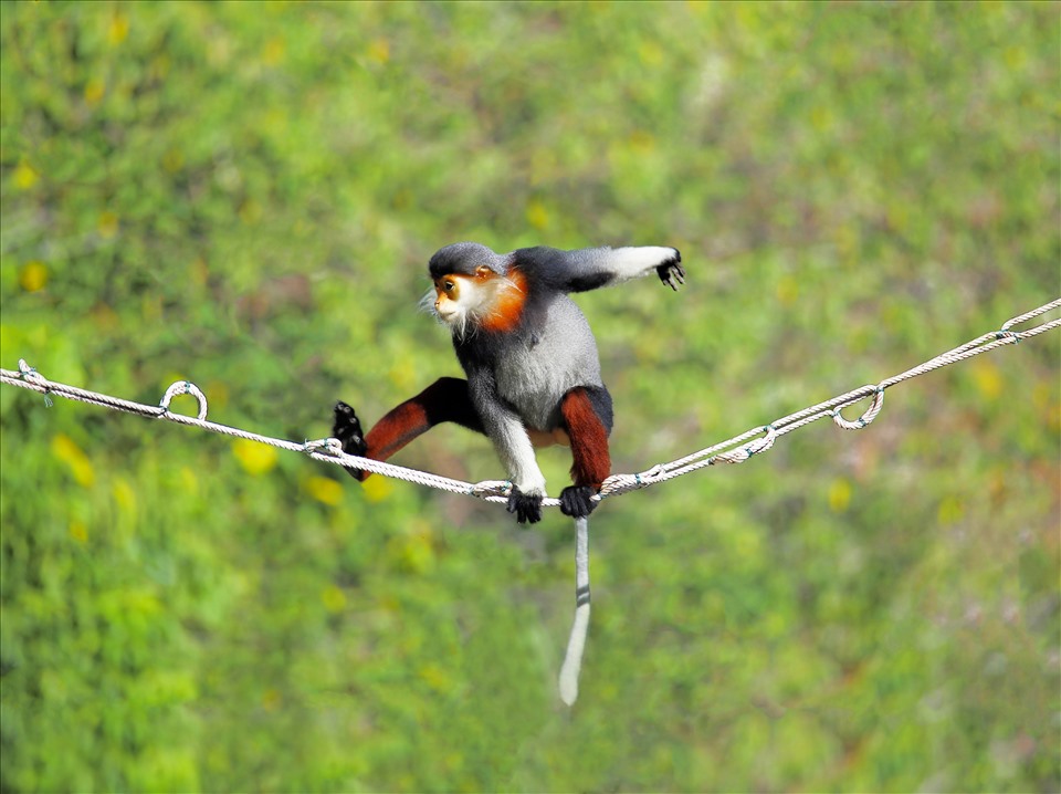 Ảnh: Vĩnh Quyền