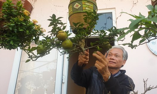 Ông Lê Thạnh - "dị nhân" trồng bonsai ngược. Ảnh: Thanh Chung