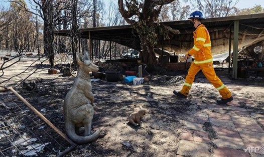 Một người lính cứu hỏa tại một ngôi nhà bị hư hại do cháy rừng ở Gidgegannup, cách thành phố Perth 40 km về phía đông bắc. Ảnh: AFP
