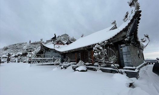 Fansipan Sapa mấy ngày này phủ tuyết trắng xoá khắp mọi nơi. Ảnh: Sun.