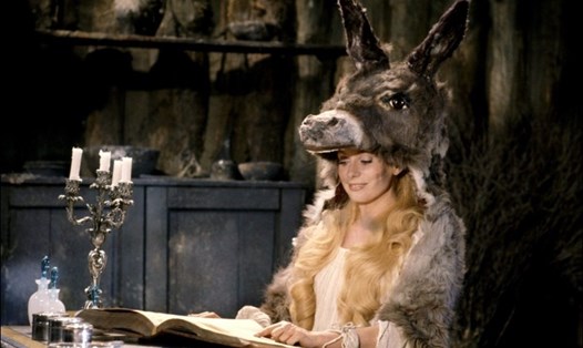 Bộ phim "Công chúa da lừa" sẽ được chiếu phục vụ khán giả tại 11 tỉnh thành. Ảnh phim