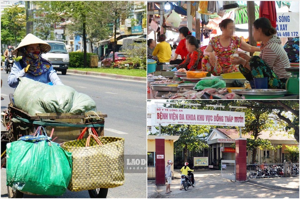 Nhịp sống 24h. Nhịp sống 24h.