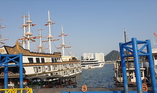 Hàng trăm tàu du lịch vịnh Hạ Long vẫn chưa hoạt động trở lại do không có khách. Ảnh: Nguyễn Hùng